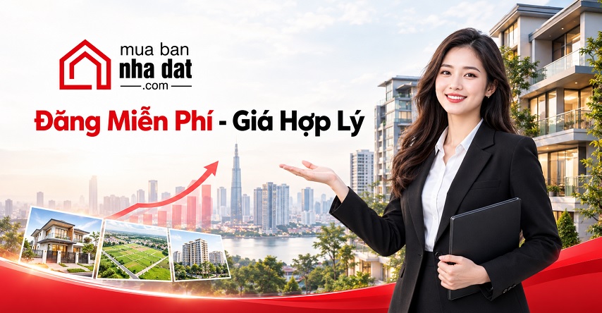 Banner Top01