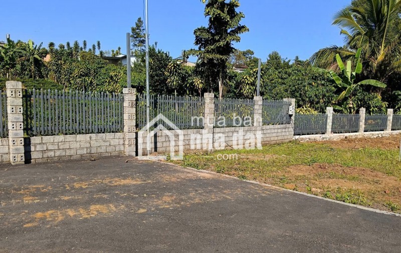 1.200m2 sẵn 400m2 thổ cư - hẻm lê phụng hiểu, lộc châu, bảo lộc