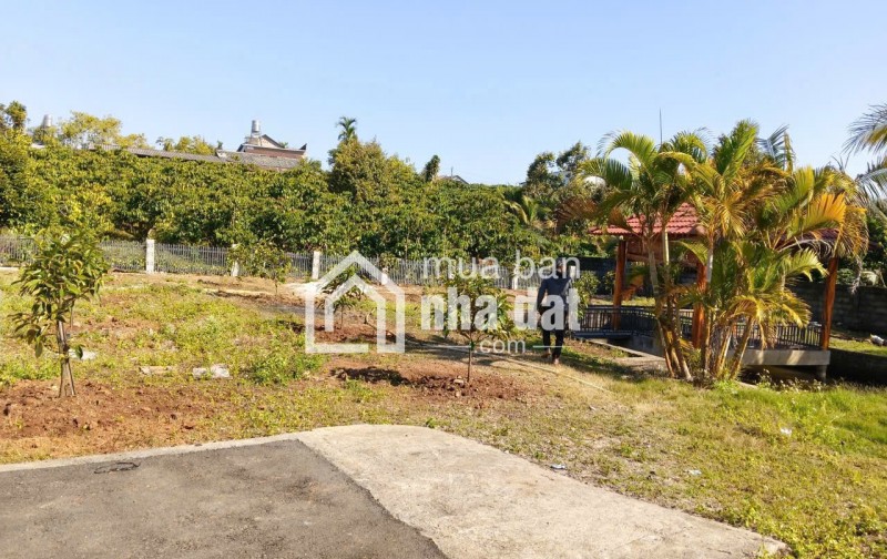 1.200m2 sẵn 400m2 thổ cư - hẻm lê phụng hiểu, lộc châu, bảo lộc