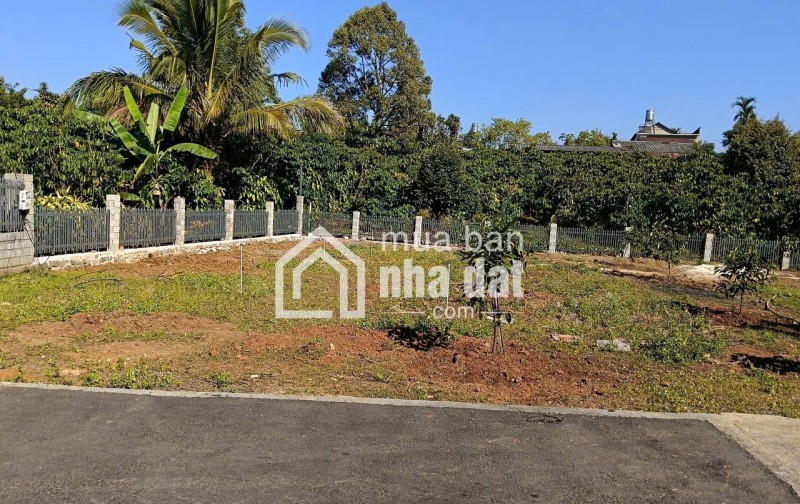 1.200m2 sẵn 400m2 thổ cư - hẻm lê phụng hiểu, lộc châu, bảo lộc