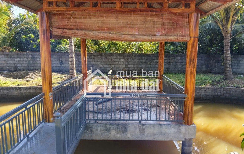 1.200m2 sẵn 400m2 thổ cư - hẻm lê phụng hiểu, lộc châu, bảo lộc