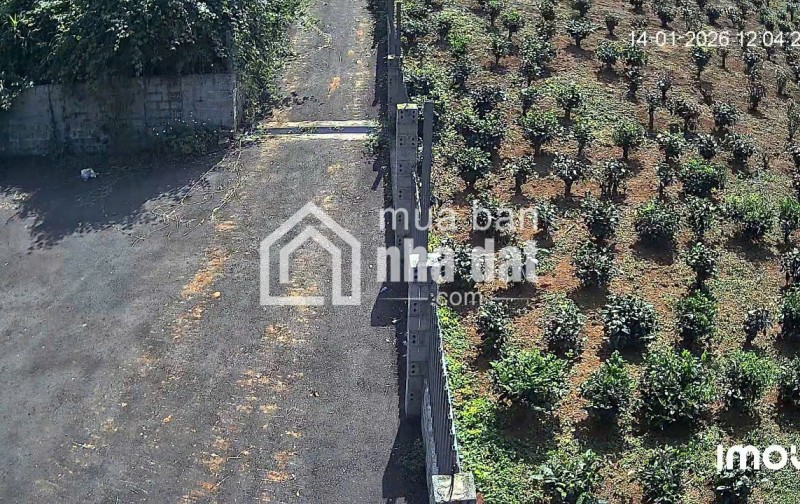 1.200m2 sẵn 400m2 thổ cư - hẻm lê phụng hiểu, lộc châu, bảo lộc