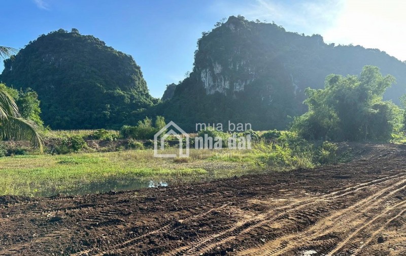BÁN ĐẤT RÚT VỐN – 2.100M² TẠI XÓM NGAY, MƯỜNG BI, PHÚ THỌ