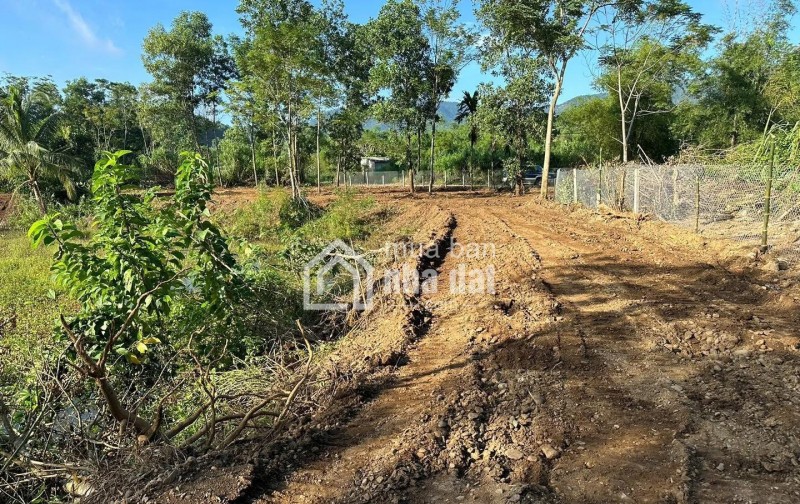 BÁN ĐẤT RÚT VỐN – 2.100M² TẠI XÓM NGAY, MƯỜNG BI, PHÚ THỌ