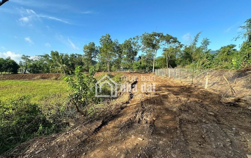 BÁN ĐẤT RÚT VỐN – 2.100M² TẠI XÓM NGAY, MƯỜNG BI, PHÚ THỌ
