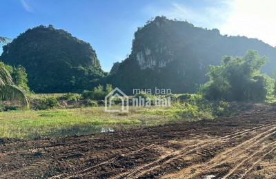 BÁN ĐẤT RÚT VỐN – 2.100M² TẠI XÓM NGAY, MƯỜNG BI, PHÚ THỌ