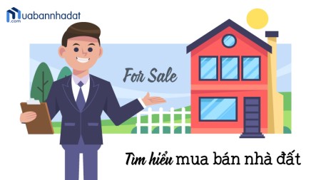Mua bán nhà đất là gì? Tìm hiểu thêm về Muabannhadat