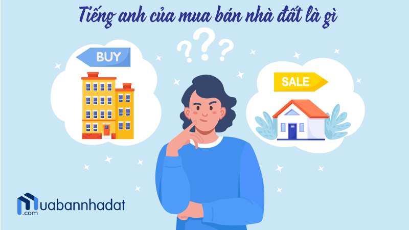 Tiếng anh của mua bán nhà đất Mua bán nhà đất tên tiếng anh là gì? Tên tiếng anh thuật ngữ khác